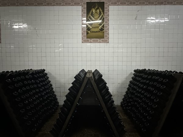 Снимки: Нели Христова